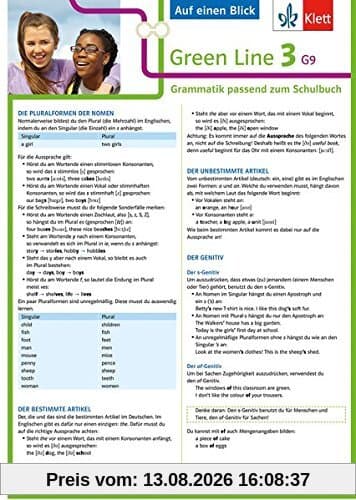 Klett Green Line 3 G9 Klasse 7 - Auf einen Blick: Grammatik passend zum Schulbuch