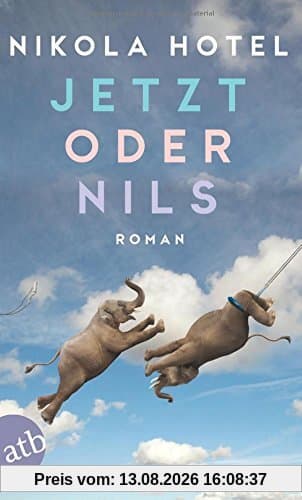 Jetzt oder Nils: Roman