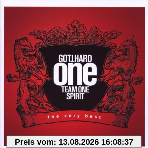 One Team One Spirit
