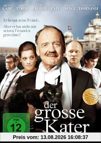 Der große Kater