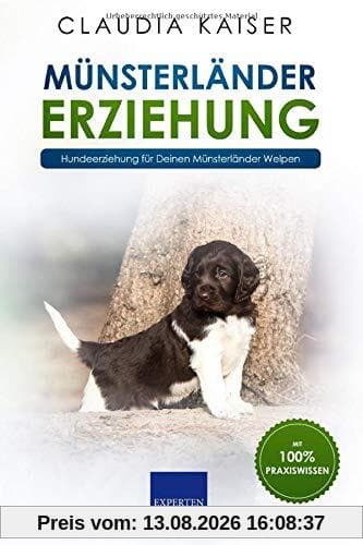Münsterländer Erziehung: Hundeerziehung für Deinen Münsterländer Welpen