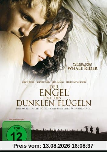 Der Engel mit den dunklen Flügeln