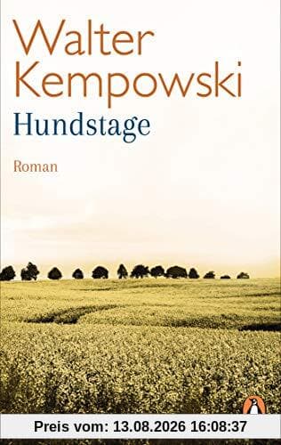 Hundstage: Roman (Weitere Romane, Band 1)