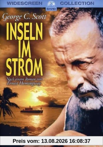 Inseln im Strom