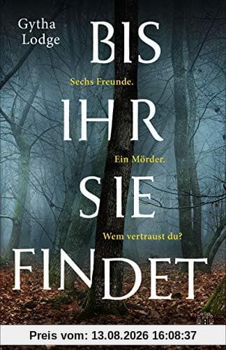Bis ihr sie findet: Roman (Detective Chief Inspector Sheens ermittelt, Band 1)
