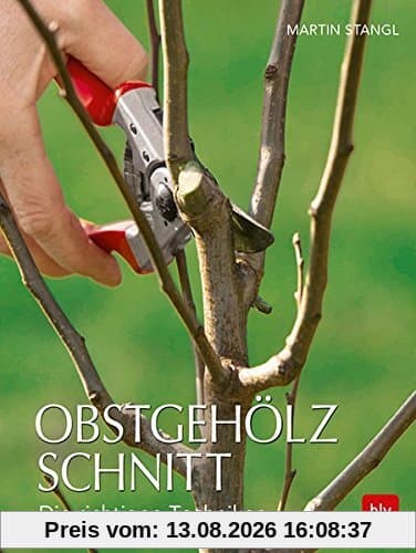 Obstgehölzschnitt: Die richtigen Techniken
