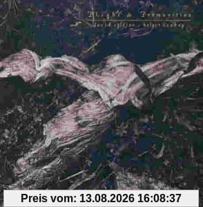 Plight & Premonition