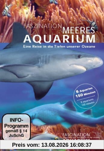 Faszination Meeres Aquarium