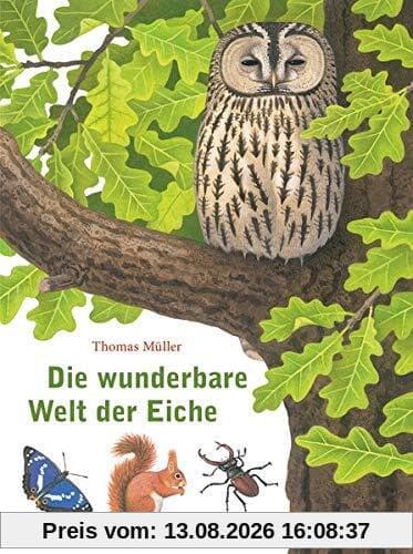 Die wunderbare Welt der Eiche