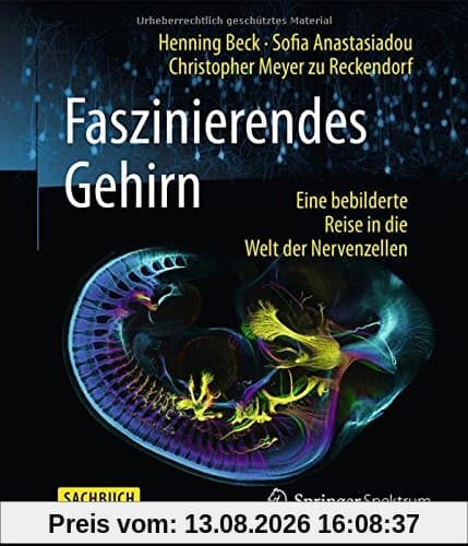 Faszinierendes Gehirn: Eine bebilderte Reise in die Welt der Nervenzellen