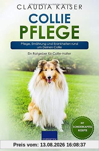 Collie Pflege: Pflege, Ernährung und Krankheiten rund um Deinen Collie