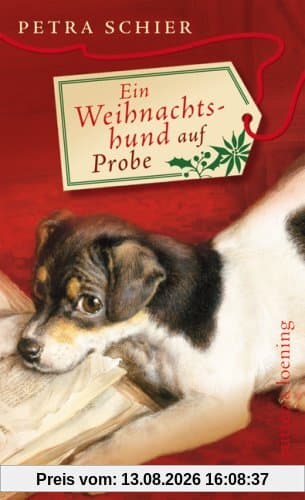 Ein Weihnachtshund auf Probe