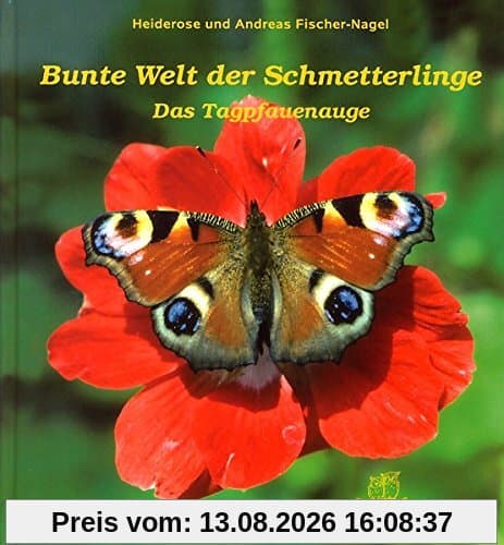Bunte Welt der Schmetterlinge: Das Tagpfauenauge