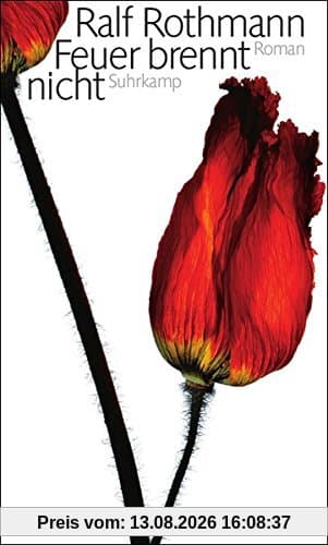 Feuer brennt nicht: Roman