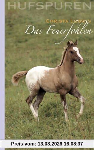 Hufspuren. Das Feuerfohlen