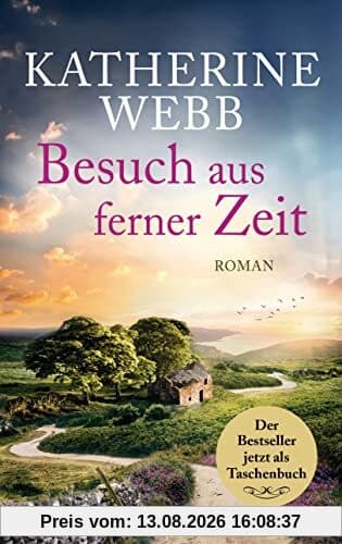 Besuch aus ferner Zeit: Roman