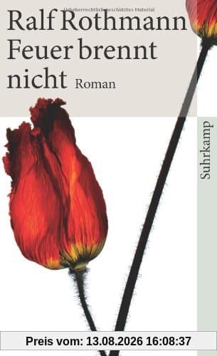 Feuer brennt nicht: Roman (suhrkamp taschenbuch)