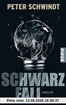Schwarzfall: Thriller