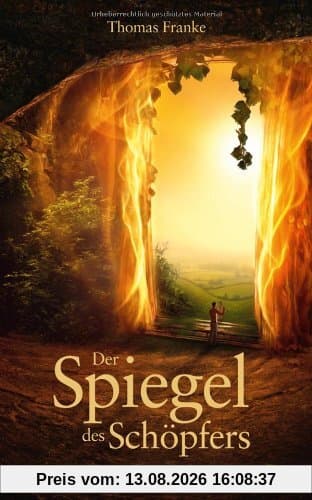 Der Spiegel des Schöpfers: Roman