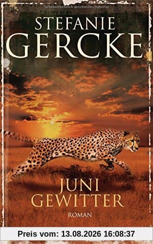 Junigewitter: Roman