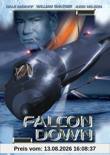 Falcon Down