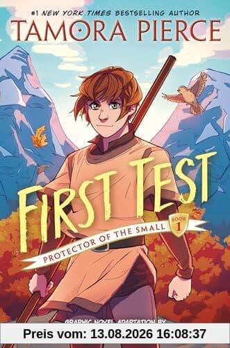 First Test Graphic Novel: (A Graphic Novel) (Protector of the Small, Band 1)