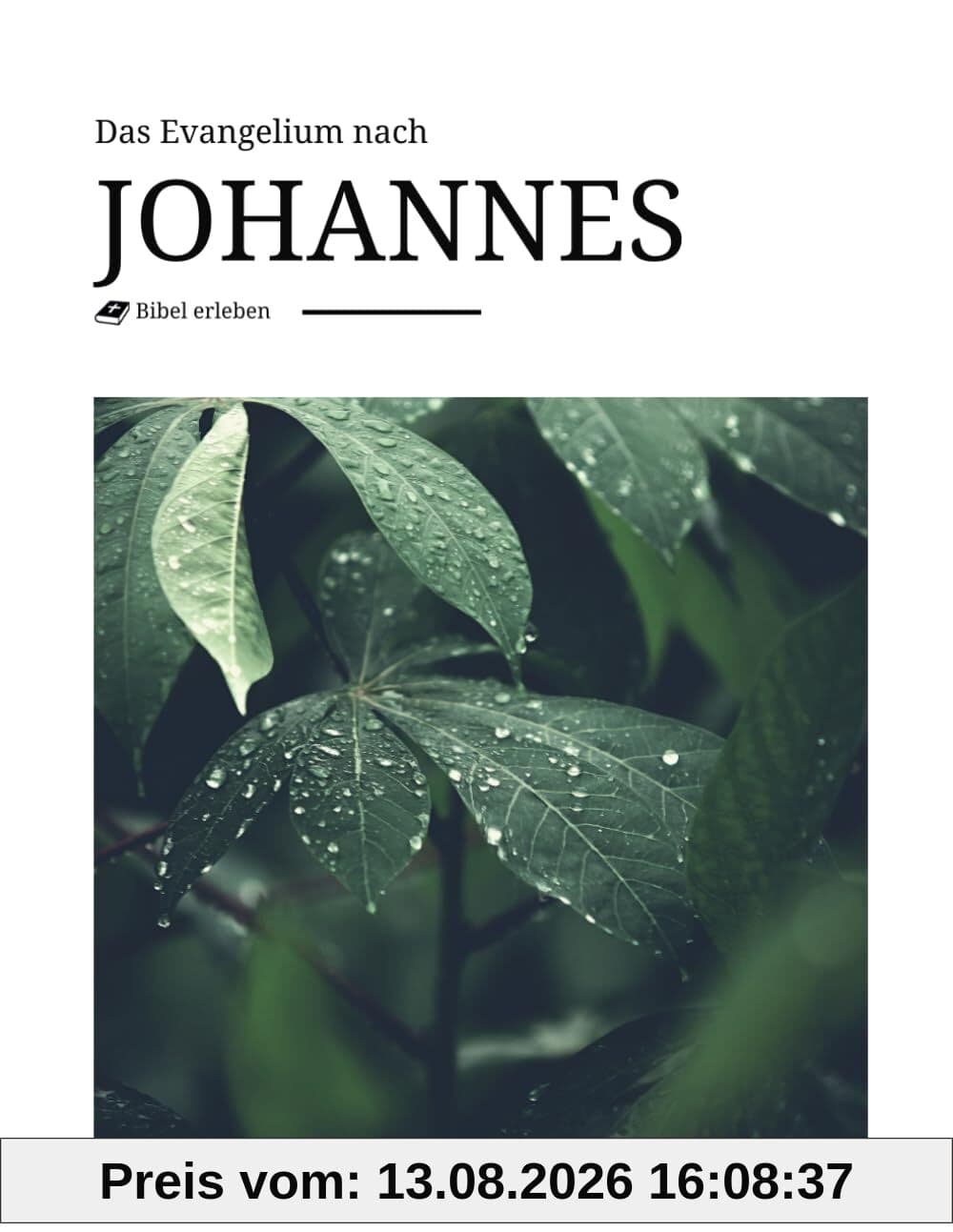 Das Evangelium nach Johannes - inhaltlich treues Buch der Bibel mit modernem und beeindruckendem Design und Bildern