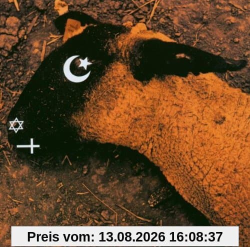 Animositisomina