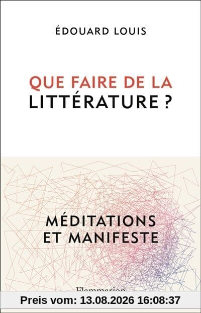 Que faire de la littérature ? : méditations et manifeste