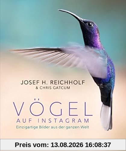 Vögel auf Instagram: Einzigartige Bilder aus der ganzen Welt