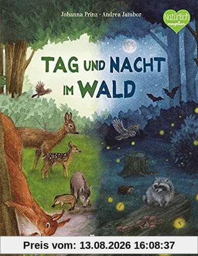 Tag und Nacht im Wald