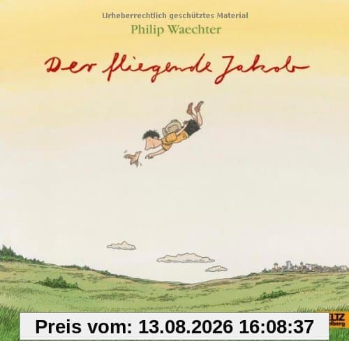 Der fliegende Jakob: Vierfarbiges Bilderbuch