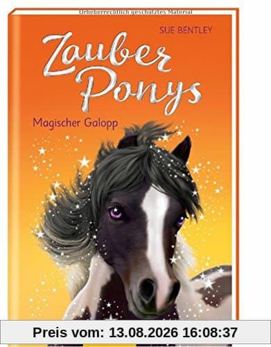 Zauberponys - Magischer Galopp