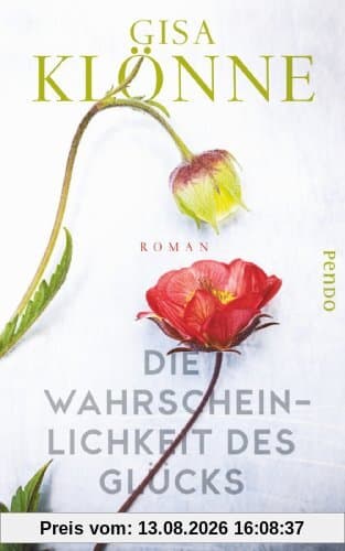Die Wahrscheinlichkeit des Glücks: Roman
